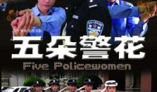 女警电视剧,守护正义的铿锵玫瑰