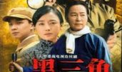 黑三角电视剧,暗流涌动的秘密战线