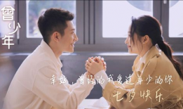 曾少年电视剧,青春岁月里的梦想与成长