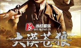 大漠苍狼电视剧,烽火岁月里的忠诚与信仰